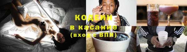 хмурый Михайловск
