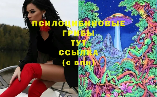 экстази Михайловка