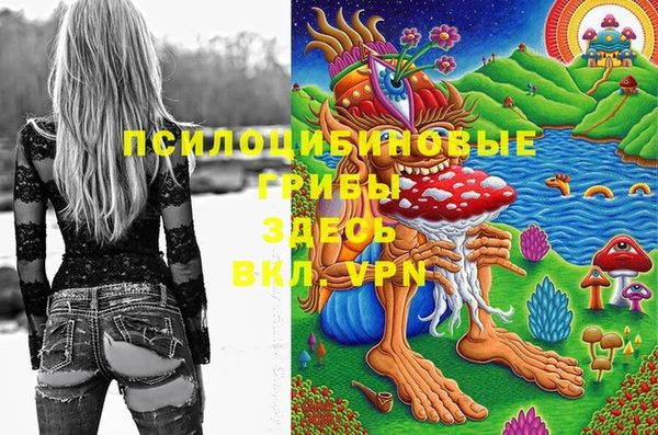 хмурый Михайловск