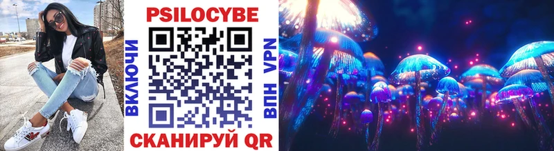 блэк спрут маркетплейс  darknet формула  Галлюциногенные грибы Psilocybe  Тимашёвск 